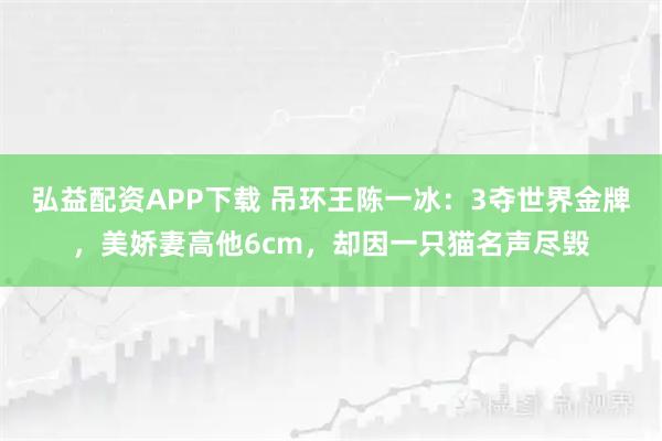 弘益配资APP下载 吊环王陈一冰：3夺世界金牌，美娇妻高他6cm，却因一只猫名声尽毁