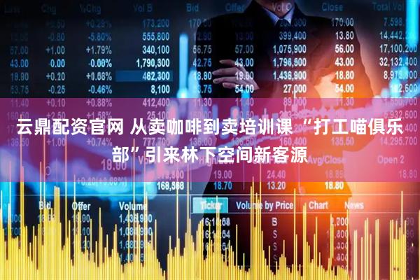 云鼎配资官网 从卖咖啡到卖培训课 “打工喵俱乐部”引来林下空间新客源