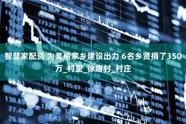 智慧家配资 为美丽家乡建设出力 6名乡贤捐了350万_村里_徐唐村_村庄