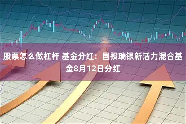股票怎么做杠杆 基金分红：国投瑞银新活力混合基金8月12日分红