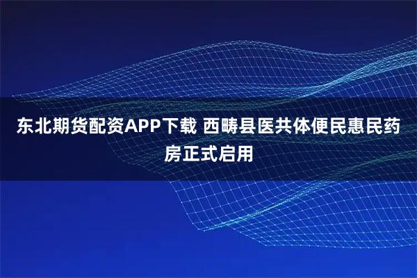 东北期货配资APP下载 西畴县医共体便民惠民药房正式启用