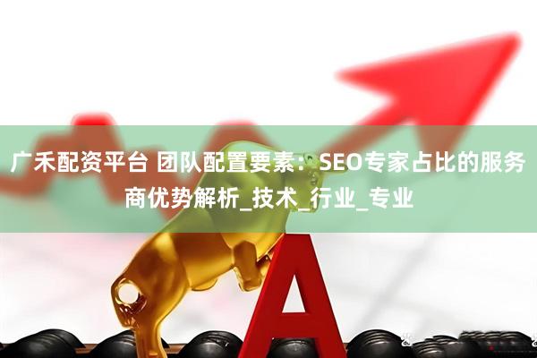 广禾配资平台 团队配置要素：SEO专家占比的服务商优势解析_技术_行业_专业
