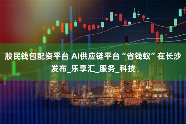 股民钱包配资平台 AI供应链平台“省钱蚁”在长沙发布_乐享汇_服务_科技