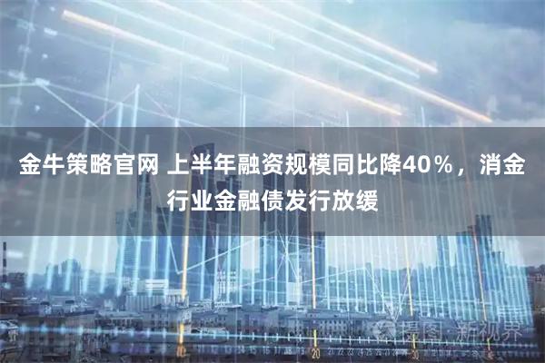 金牛策略官网 上半年融资规模同比降40％，消金行业金融债发行放缓