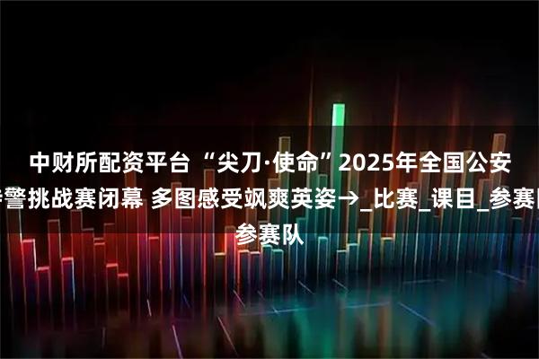 中财所配资平台 “尖刀·使命”2025年全国公安特警挑战赛闭幕 多图感受飒爽英姿→_比赛_课目_参赛队