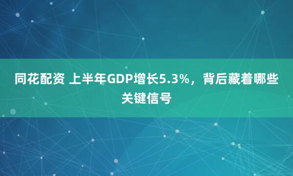 同花配资 上半年GDP增长5.3%，背后藏着哪些关键信号